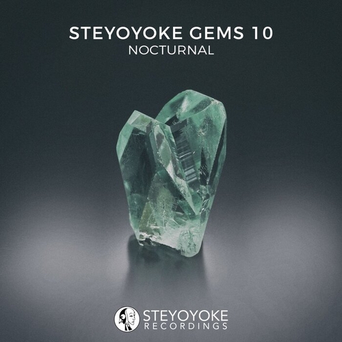VA - Steyoyoke Gems Nocturnal 10 [SYYKCOMP017]